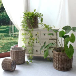 Garden Prestige Korgar 'Bogor' 4-pack - Natur