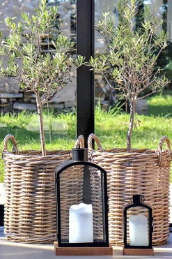 Garden Prestige Korgar 'Indo' 2-pack - Natur