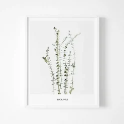 Poster Reform Poster - 'Eucalyptus'