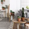 Zuiver Sidobord 'Dendron' L - Natur