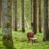 Reforma Stol 'Böda' - Natur/Brun
